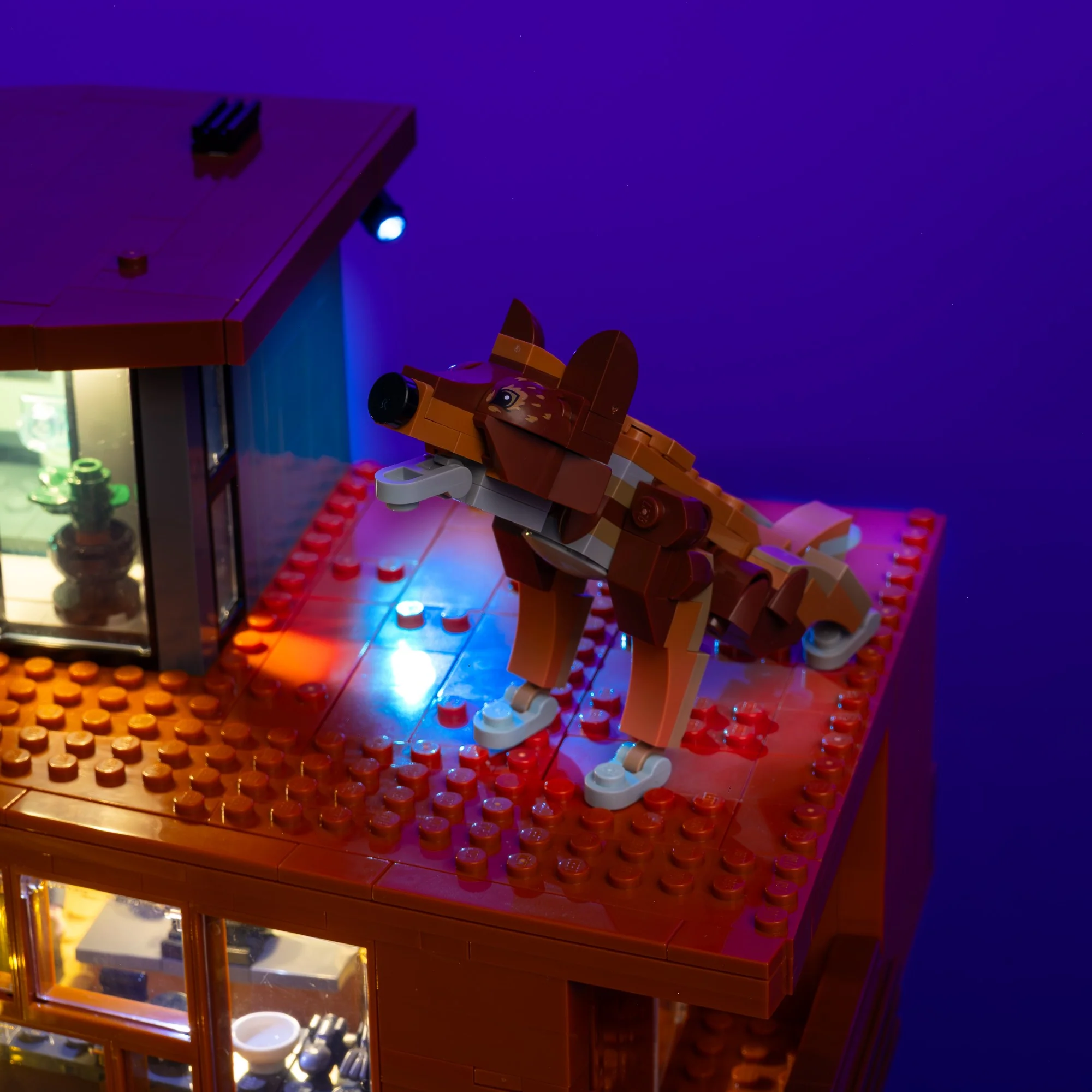 Light Kit for LEGO® Twilight The Cullen House #21354 - Image 9